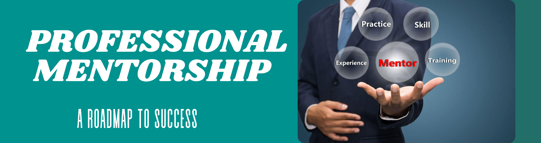 Professional Mentorship